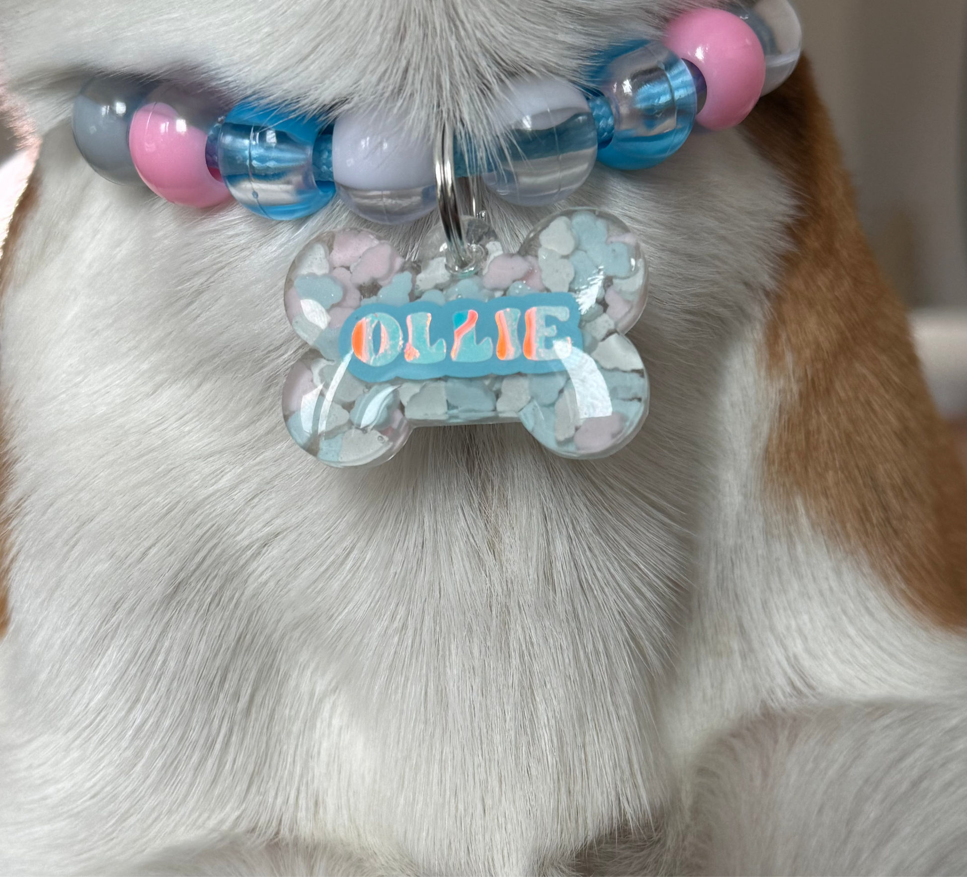 OLLIES NECKLACE