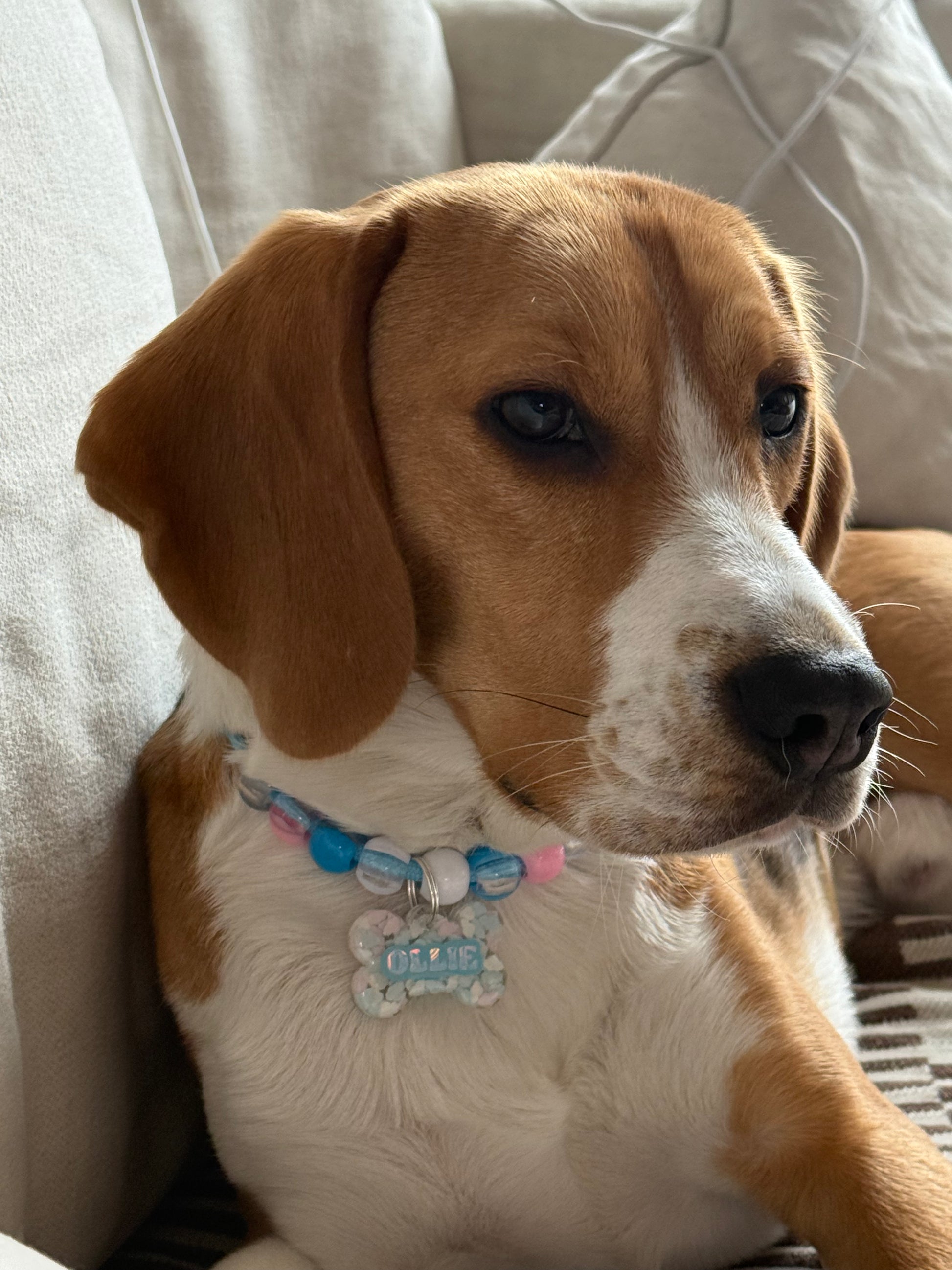 OLLIES NECKLACE